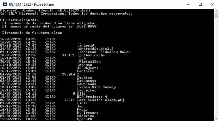 Shell remota en Windows con Bitvise