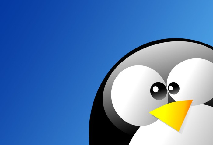 Aprende Linux online y gratis con Linux Survival