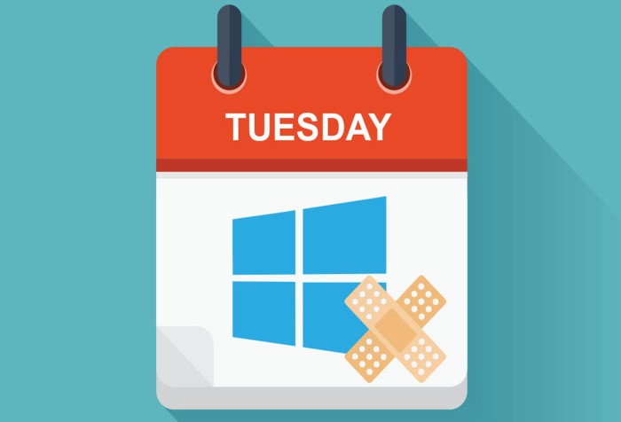 Parches de Microsoft en Febrero de 2019 (llega el patch tuesday)