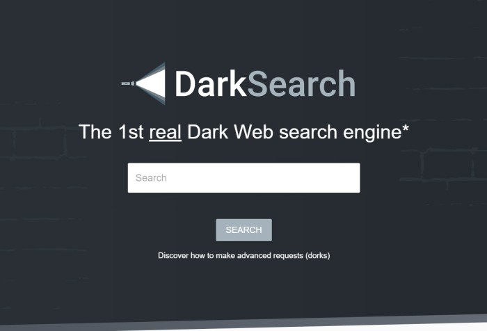 darksearch-el-primer-buscador-real-para-la-dark-web